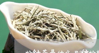 松针茶是什么品种松树/2023060941795