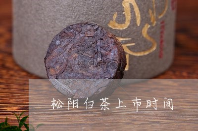 松阳白茶上市时间/2023062141805