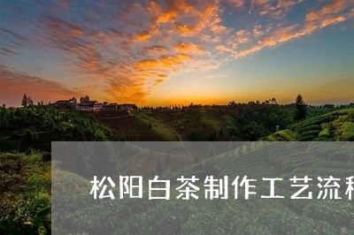 松阳白茶制作工艺流程/2023100189262