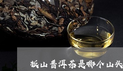 板山普洱茶是哪个山头的/2023121725361