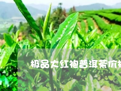 极品大红袍普洱茶价格/2023120629503