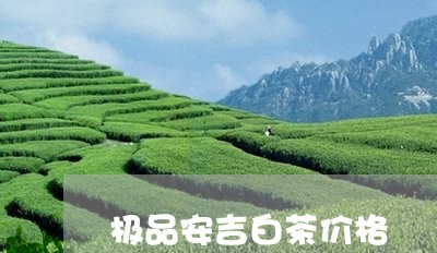 极品安吉白茶价格/2023062197257