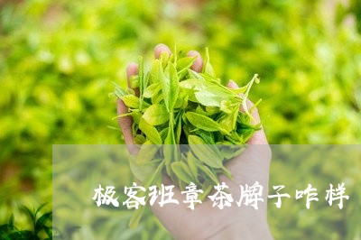 极客班章茶牌子咋样/2023042595950