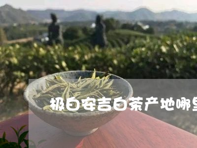 极白安吉白茶产地哪里/2023100106181