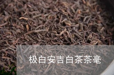 极白安吉白茶茶毫/2023062143037