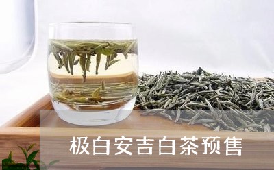 极白安吉白茶预售/2023062132934