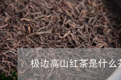 极边高山红茶是什么茶/2023071485248