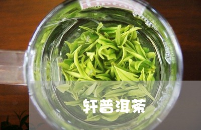 枂脃轩普洱茶/2023042567478