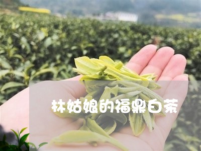 林姑娘的福鼎白茶/2023112615037