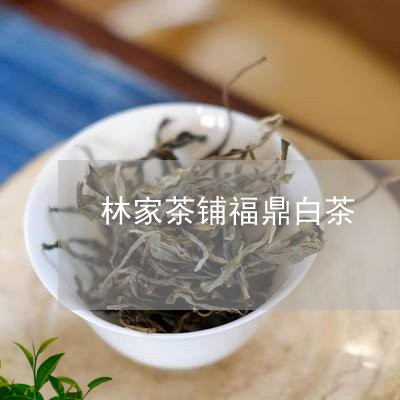 林家茶铺福鼎白茶/2023062189591