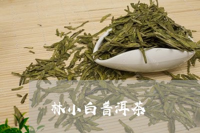 林小白普洱茶/2023042681657