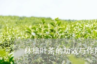 林檎叶茶的功效与作用/2023071529683