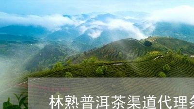 林熟普洱茶渠道代理条件/2023051125039