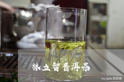 林立智普洱茶/2023042748040