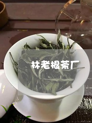 林老根茶厂/2023090215139