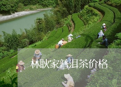 林耿家普洱茶价格/2023101672806