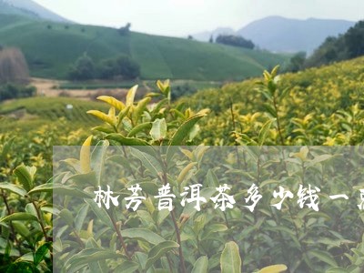 林芳普洱茶多少钱一克/2023072138481