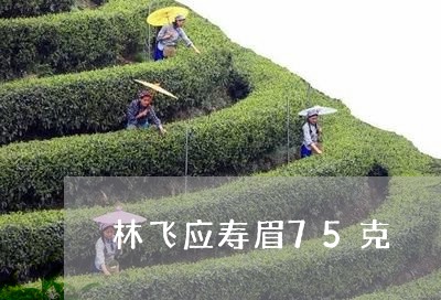 林飞应寿眉75克/2023090873918