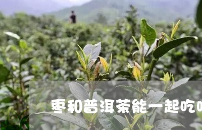 枣和普洱茶能一起吃吗/2023092647361