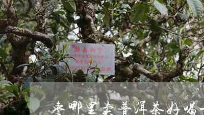 枣哪里卖普洱茶好喝一点/2023112569583