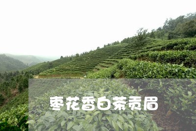 枣花香白茶贡眉/2023060203047