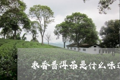 枣香普洱茶是什么味道/2023062369592