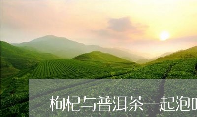 枸杞与普洱茶一起泡吗/2023092653737