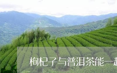 枸杞子与普洱茶能一起喝吗/2023051377362