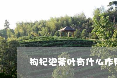 枸杞泡茶叶有什么作用与功效/2023052647161