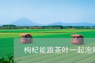 枸杞能跟茶叶一起泡吗/2023061126048