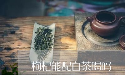 枸杞能配白茶喝吗/2023062273816