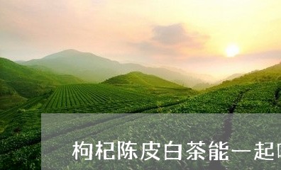 枸杞陈皮白茶能一起吗/2023100195847