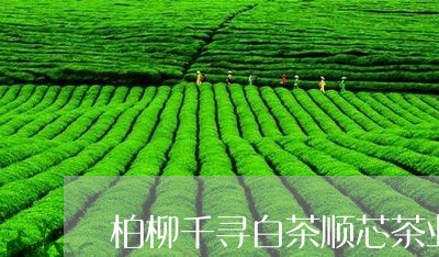 柏柳千寻白茶顺芯茶业/2023100123140