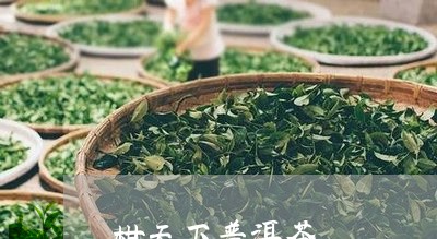 柑天下普洱茶/2023042712759