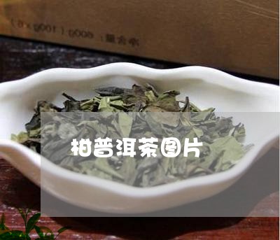 柑普洱茶图片/2023042740756