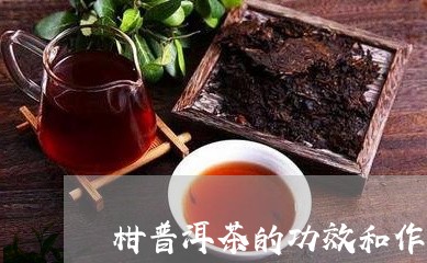 柑普洱茶的功效和作用/2023073128081