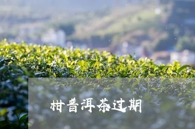 柑普洱茶过期/2023042625534