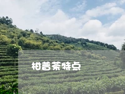 柑普茶特点/2023041720414