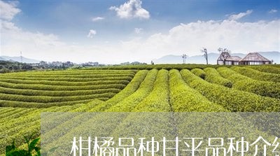 柑橘品种甘平品种介绍/2023092084827