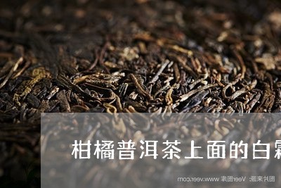 柑橘普洱茶上面的白霜/2023080232604