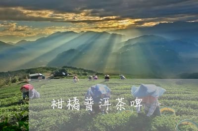 柑橘普洱茶啤/2023042930208