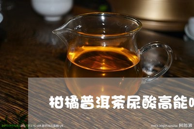 柑橘普洱茶尿酸高能喝/2023100876360