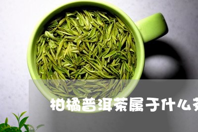 柑橘普洱茶属于什么茶类/2023121759493