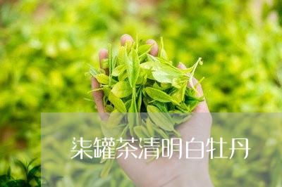 柒罐茶清明白牡丹/2023120567481