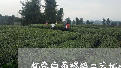 柘荣白茶碳焙工艺优点/2023100292826