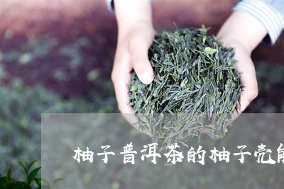 柚子普洱茶的柚子壳能喝吗/2023112860491