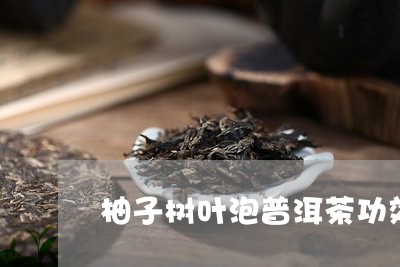 柚子树叶泡普洱茶功效/2023062969674