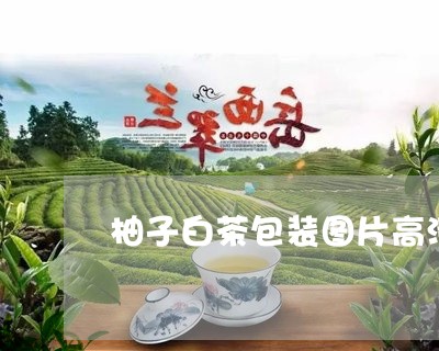 柚子白茶包装图片高清/2023100240738