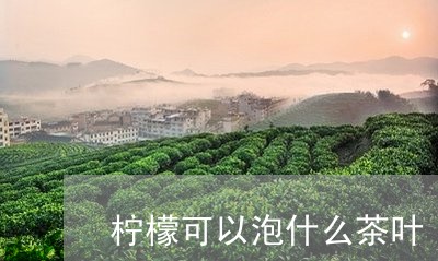 柠檬可以泡什么茶叶/2023042654959