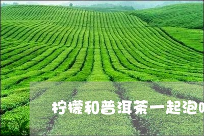 柠檬和普洱茶一起泡吗/2023062812815